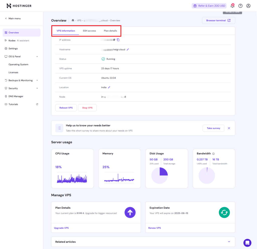 Hostinger VPS Overview - Server Information