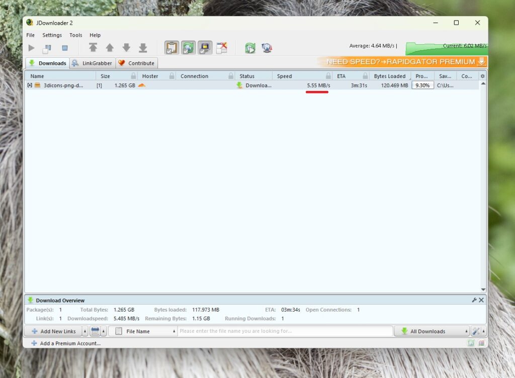 JDownloader Speed Test on Unlimited Bandwidth Server