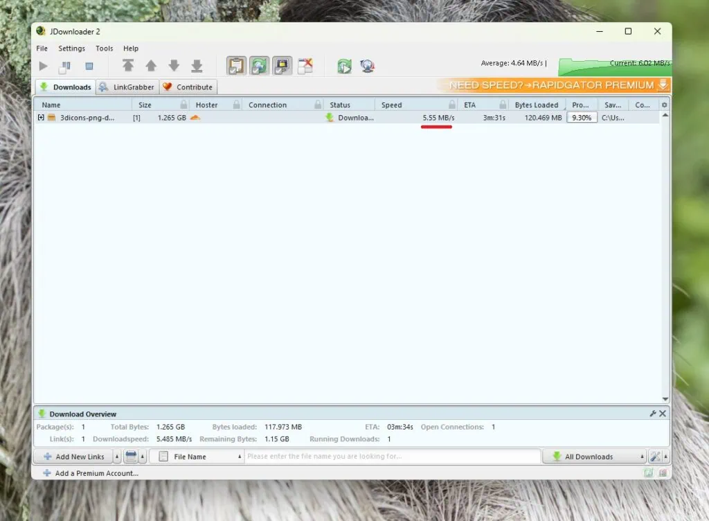 JDownloader Speed Test on Unlimited Bandwidth Server