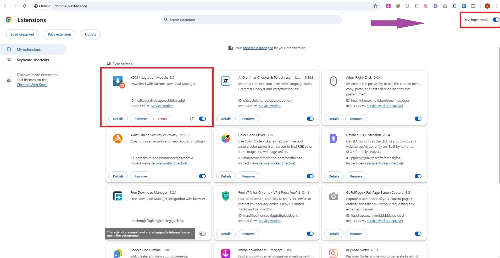 Xtreme Download Manager Chrome Extension added