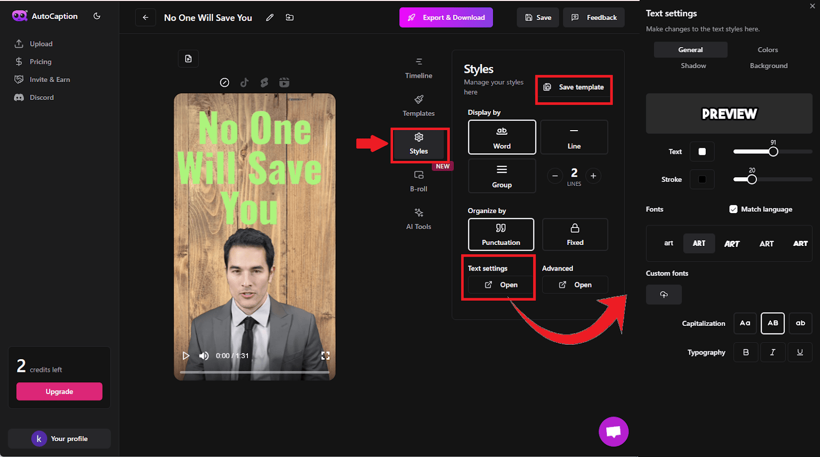 AutoCaption AI - Styles